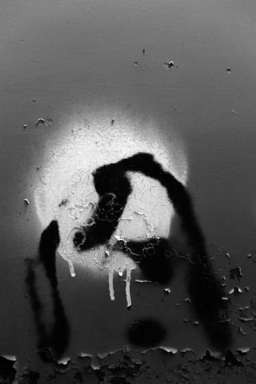Black___white