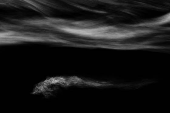Ephemerality__15