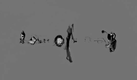 Dreaming_kaleta