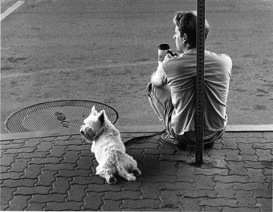 Waiting_for_godot