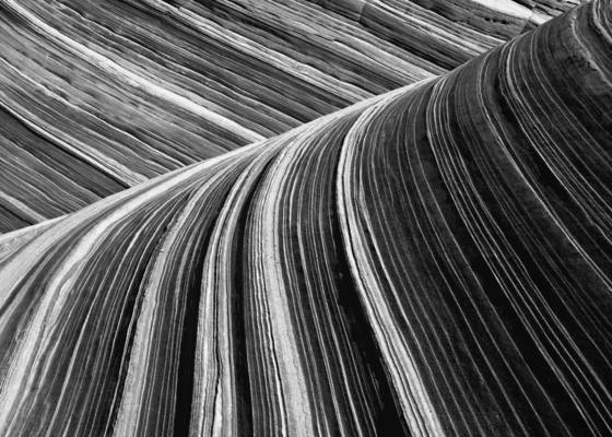 The_wave_-_detail
