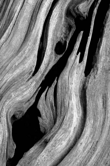 All_that_remains