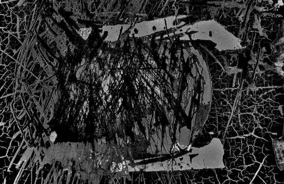 Portola_pollock_moon