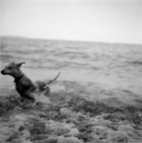 Untitled_10