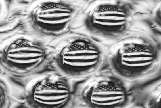 Birth_of_a_nation