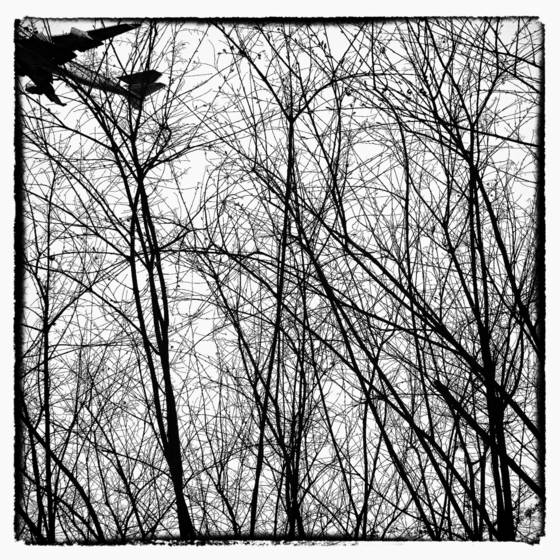 Missed_flight