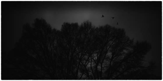 Winter_flight