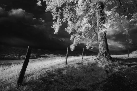 Approaching_storm