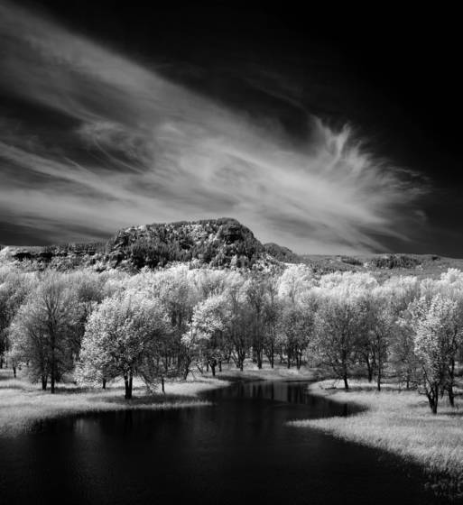 Columbia_gorge_meadow