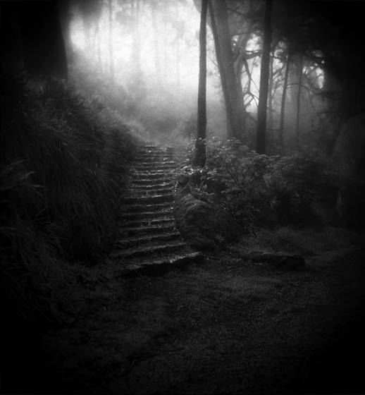 Davidson_steps_holga