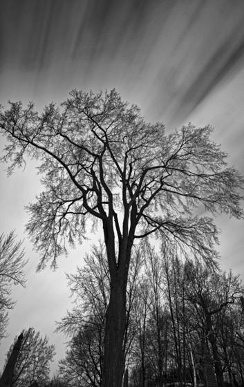 Untitled_3