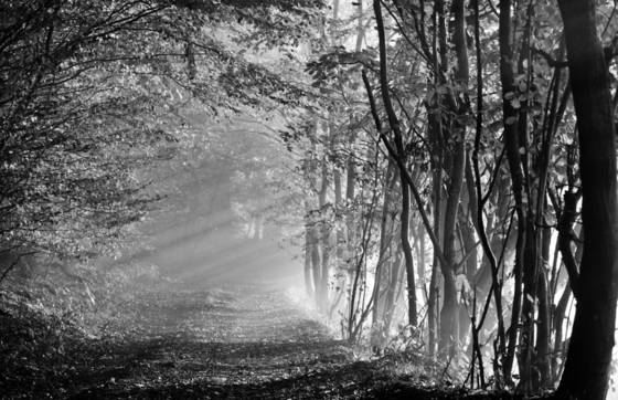 Rays_of_hope