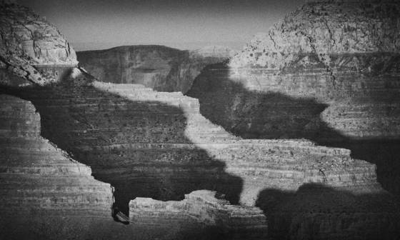 Trace