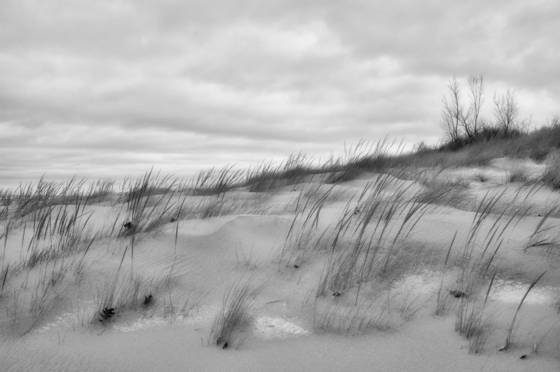 Dunes_and_snow