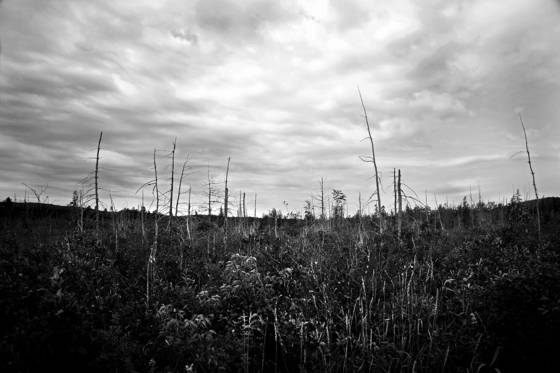 Untitled_9