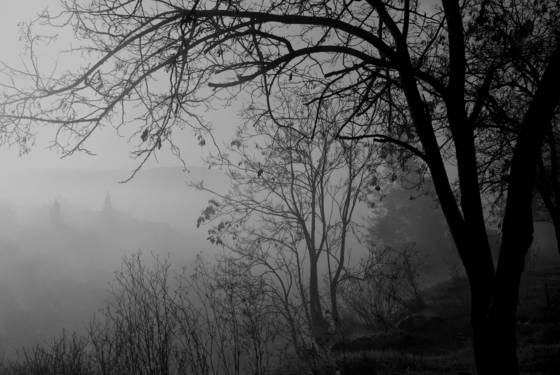 Untitled_12