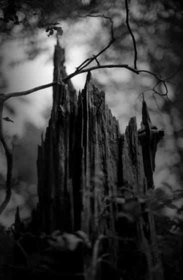 Castle