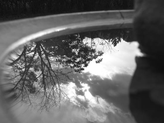 Birdbath