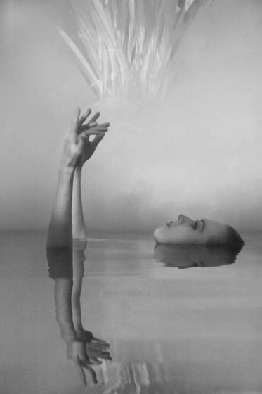 Emerge_3