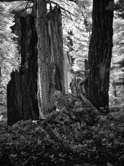 Crumbling_redwood_nude