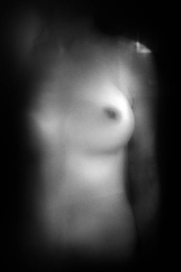 Torso