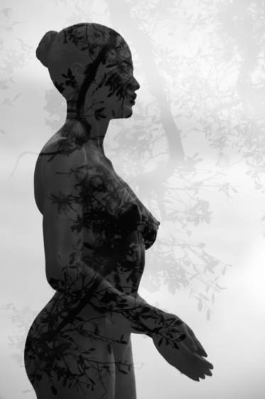 Untitled_1