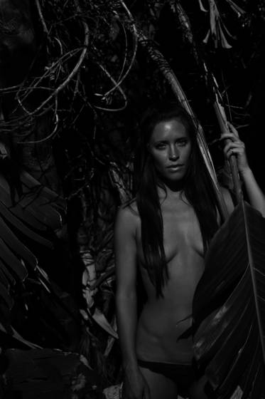 Jungle_1