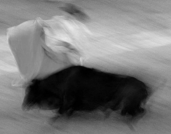Bullfighting