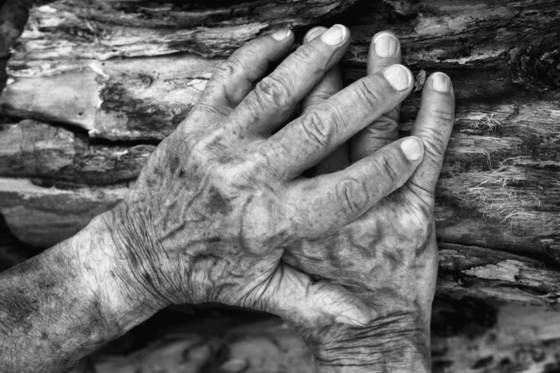 My_father_s_hands
