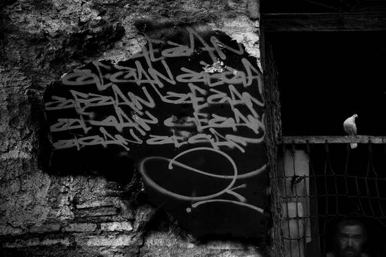 Texture_8