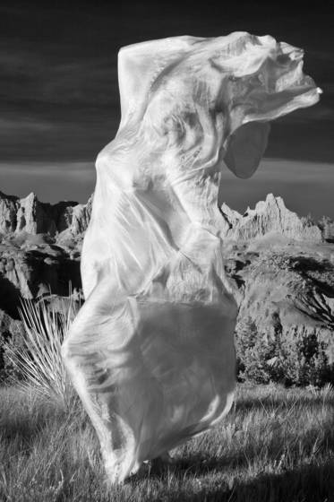 Isadora