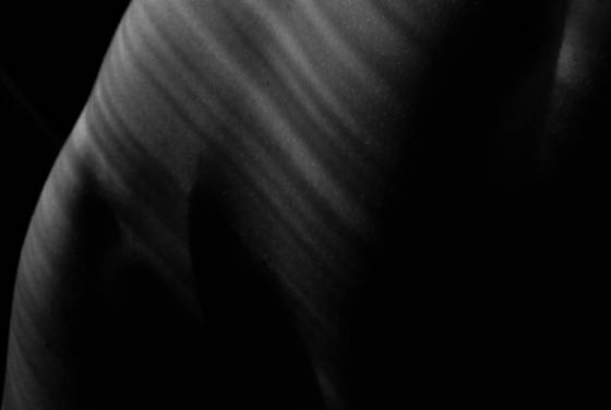 Detail_43