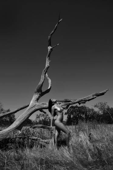 Twisted_tree_nude