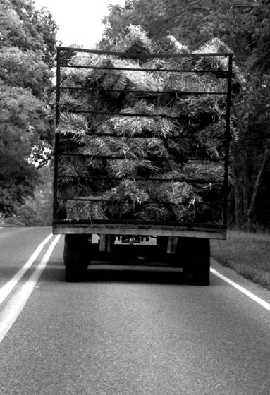 Hay_wagon