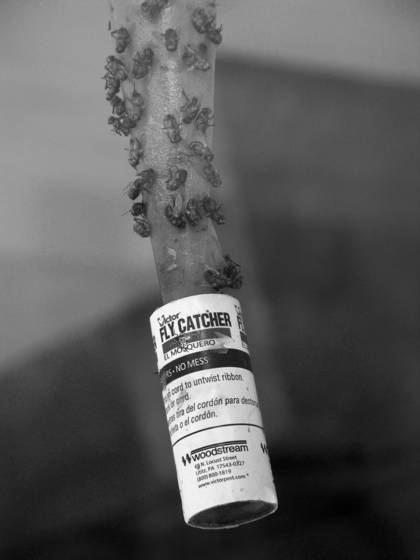 Sticky_situation