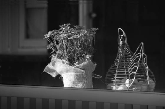 Flowers_and_eggs