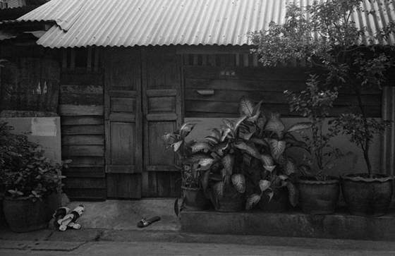 Thai_house_bangkok