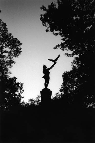 Falconer