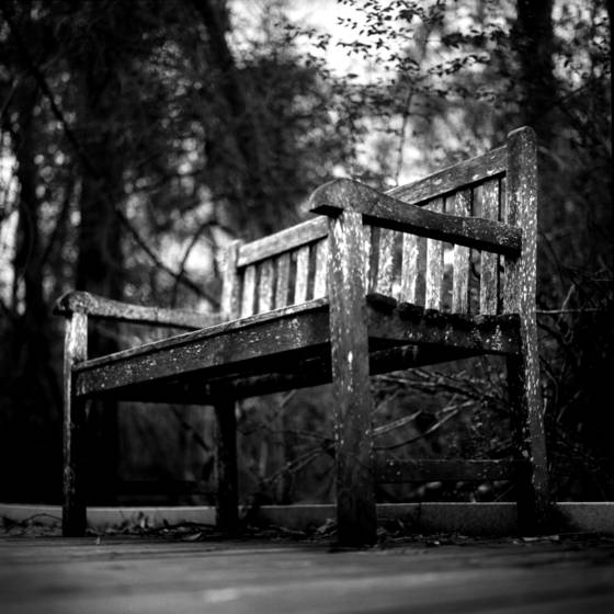 Waiting_watching