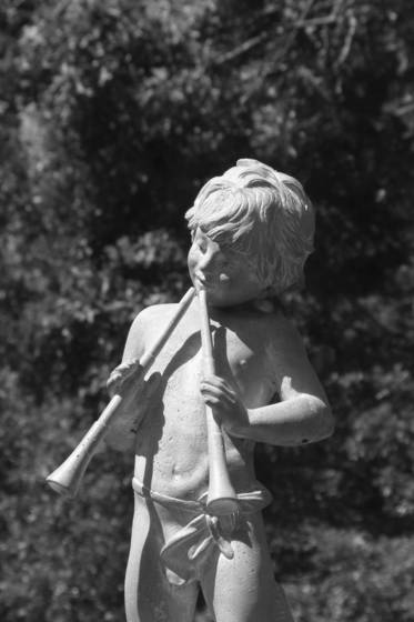 The_flutist