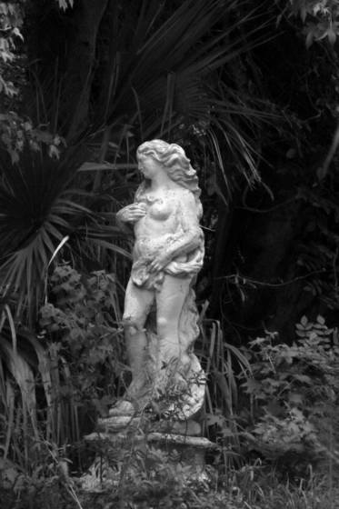 Woman_in_the_wild