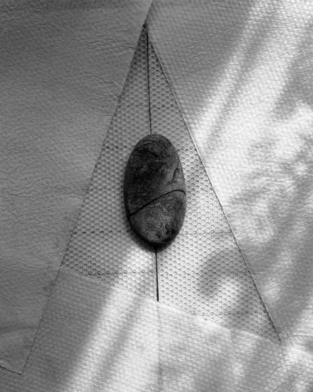 Untitled_still_life
