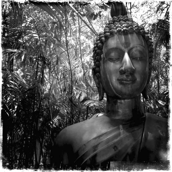 Buddha