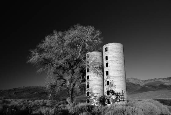 The_diametric_landscape