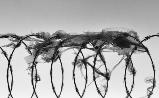 Razor_wire