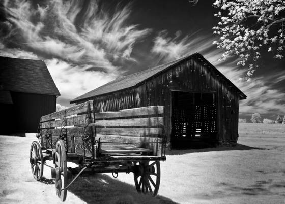 The_old_farm