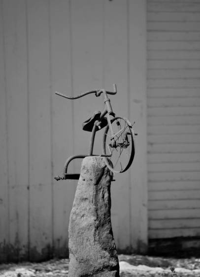 Backyard_artifact