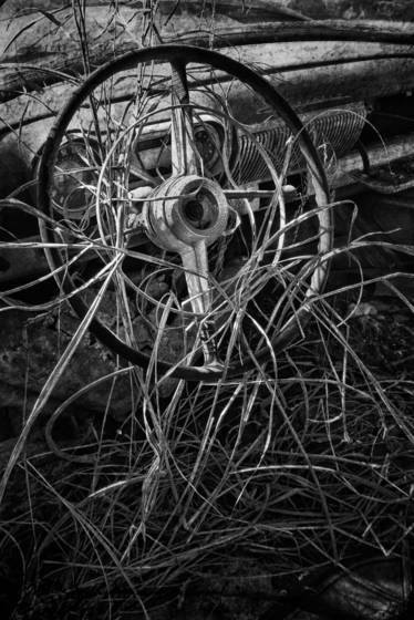 Grassy_demise