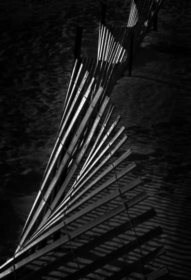 Fence_line
