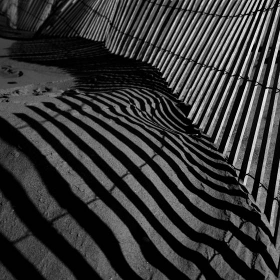 Fences_1
